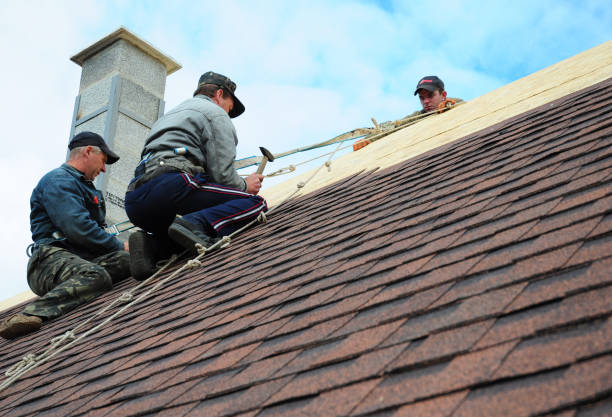 Best Commercial Roofing Services  in Hayfield, MN